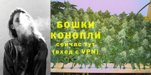 дмт Богданович