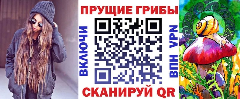 купить закладку  Верхний Тагил  blacksprut зеркало  Псилоцибиновые грибы GOLDEN TEACHER 